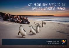 ctc travel australia