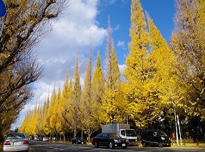 sa tours hokkaido