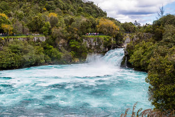 New Zealand Activity from Viator