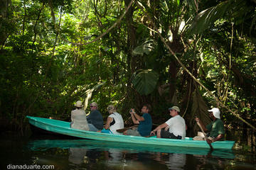 Costa Rica Activity from Viator