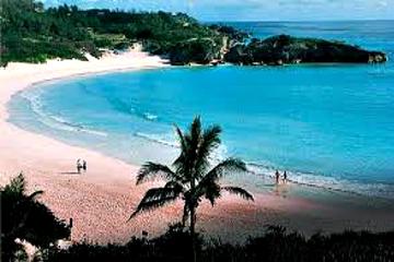 Bermuda Activity from Viator