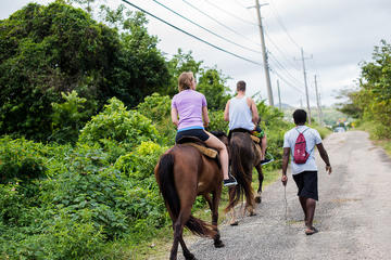 Jamaica Activity from Viator