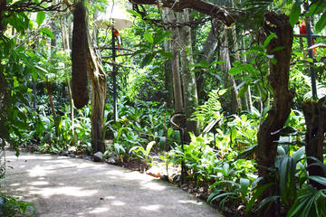 Costa Rica Activity from Viator