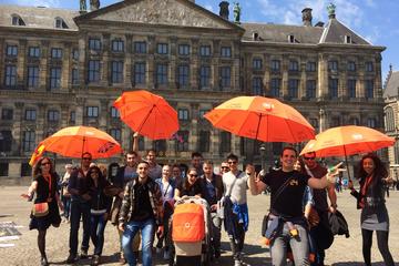 Netherlands Activity from Viator